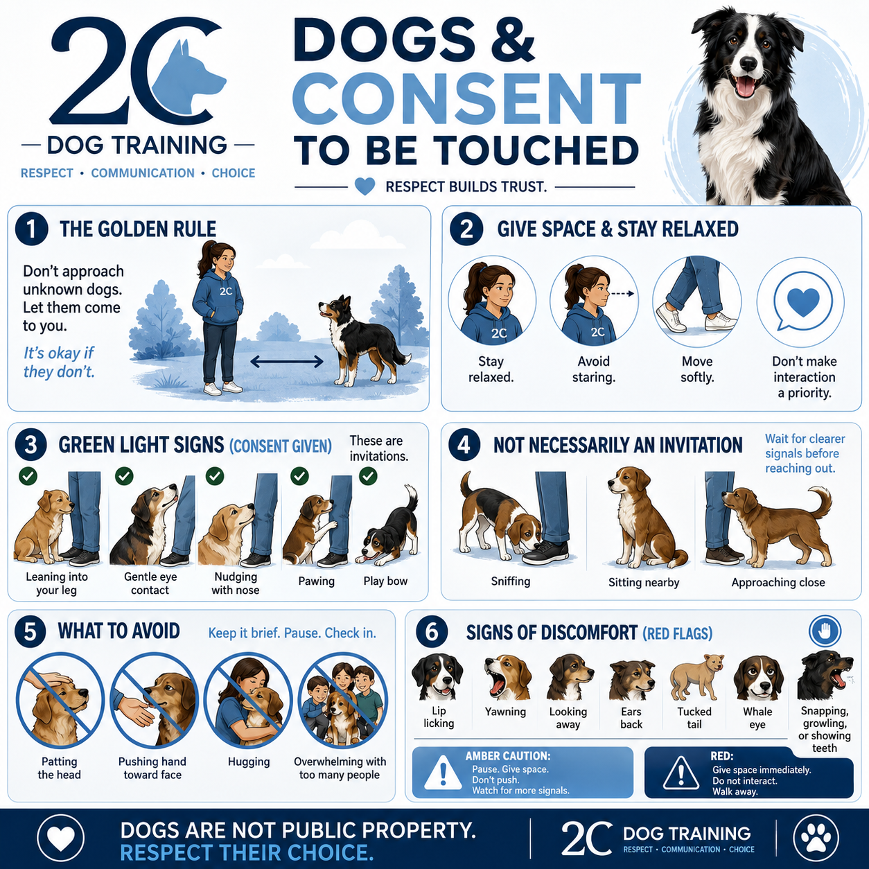 Dogs & Consent To Be Touched worksheet — body language and the golden rule